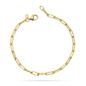 Złota bransoletka kolekcja Chain B_15z